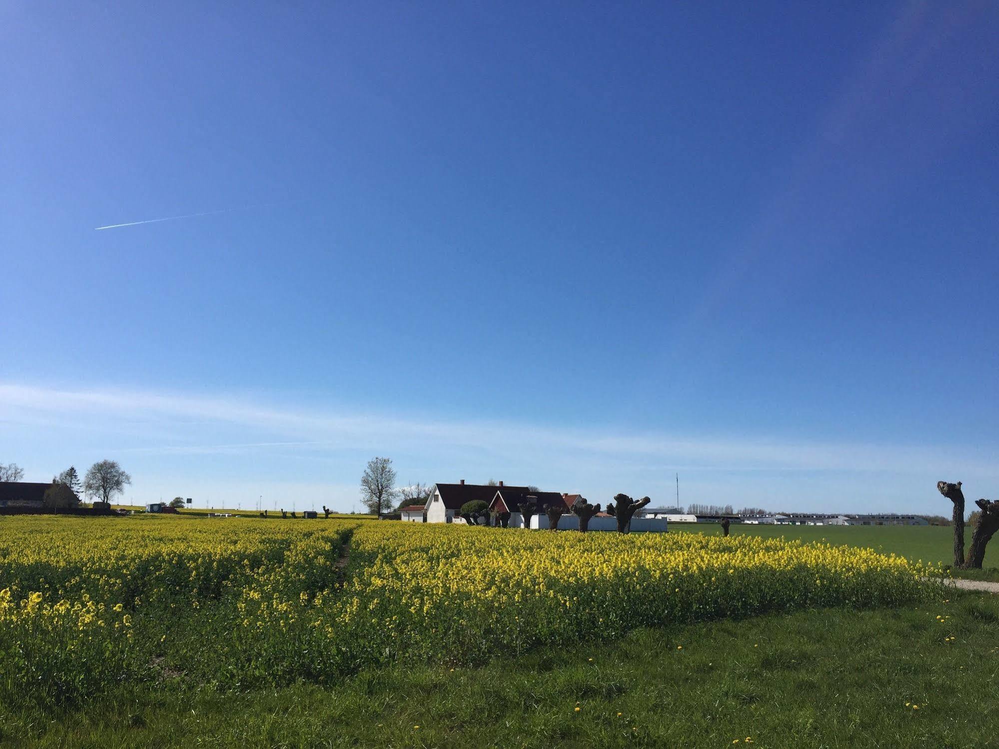 Hotell Vellingebacken 外观 照片